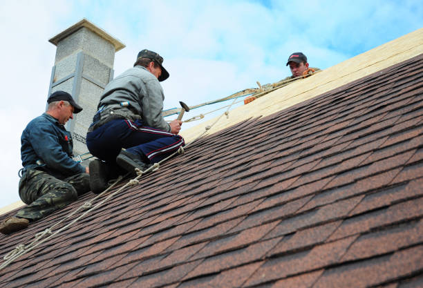 Best Residential Roofing Contractor  in Bylas, AZ